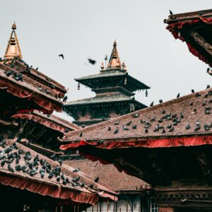 Pigeons on traditional pagoda rooftops in cultural Kathmandu, Nepal.